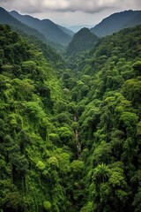 Fototapeta na wymiar panoramic view of a lush green forest valley, created with generative ai