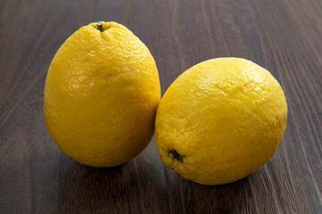 愛媛県名産の柑橘類 弓削瓢柑