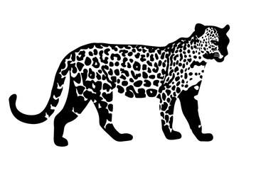 Leopard silhouette isolated on white background. Vector illustration
