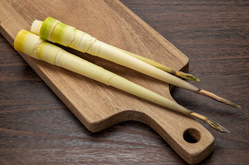 真竹、タケノコ