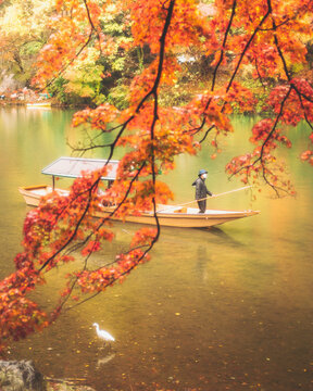 Katsura River, Kyoto, Japan - 23 November 2022: View of a rowing man on a boat tour crossing the Katsura River from Kameyama Park in Kyoto, Japan.