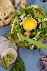 Salmon tartar served with fresh quail egg and fresh greens top view macro 