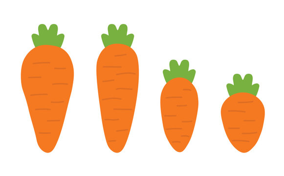 Cartoon carrot vector illustration cute icon. Isolated orange flat carrot fruit symbol logo.