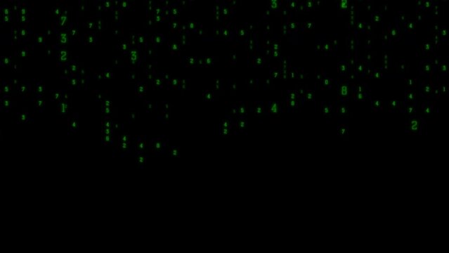 4k animation of binary code technology background.concept of web developer. digital computer code. Programming. Coding.