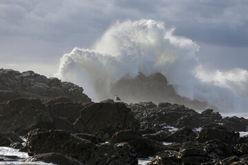 Portuguese coast during storm