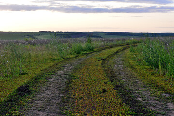 Fototapeta na wymiar country road going through the field to horizon with dramatic sky copy space 
