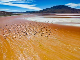 Gardinen Aerial view of flamingos in the colorful Laguna Colorada in the remote Fauna Andina Eduardo Avaroa National Reserve in the Bolivian Altiplano in South America © freedom_wanted