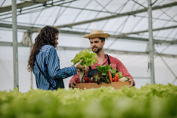 Hydroponic farm owner selects veggies, monitors growth, foster sustainable agriculture in greenhouse