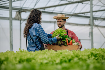 Hydroponic farm owner selects veggies, monitors growth, foster sustainable agriculture in greenhouse