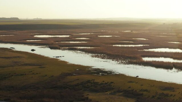 4K drone footage of swamp area. Aerial shooting of marshlands, bogs, wetlands seen during early beams of day in morning stock video.