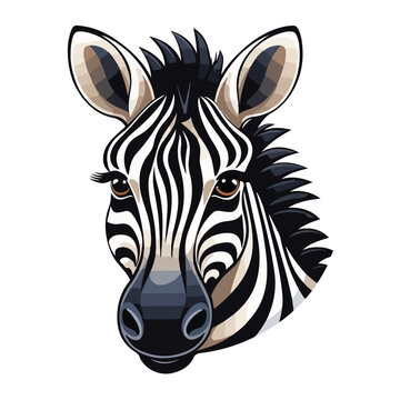 black and white zebra print,zebra vector,zebra illustrator illustration,cartoon zebra illustration,editable eps vector,ready to print