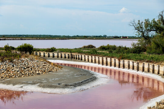 Salt-encrusted stones and pink water in the salt flats near Aigues-Mortes in the Camargue region