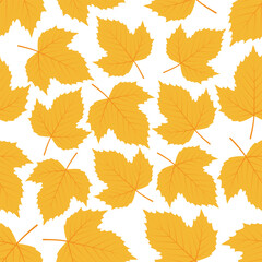 Falling leaves. Autumn leaves are drawn on a white background. Seamless pattern for textile, wallpapers, gift wrap and album. Vector illustration.