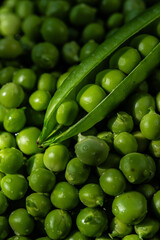 Heap of fresh green peas with open pod on the  top.