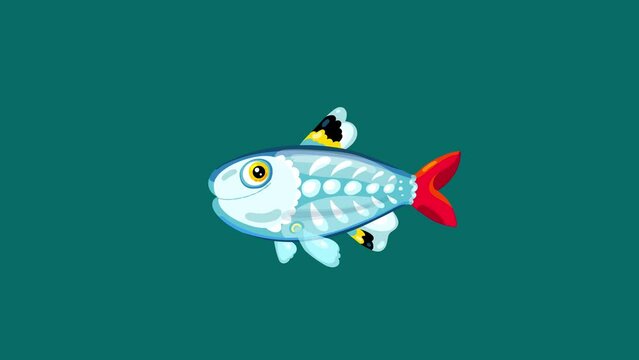 X-ray fish swimming cartoon animated character isolated. Good for any animation as main hero or background.