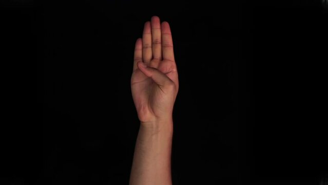 American sign language (ASL). Human hand doing one-handed sign language used by deaf and dumb. Human hand doing Alphabet B sign language in HD.
