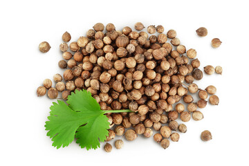 Dried coriander seeds with fresh green leaf isolated on white background. Top view. Flat lay
