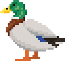 Pixel art drake. Waterfowl duck game asset. Animal vector illustration.