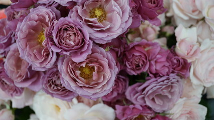 紫と白の薔薇の花束
