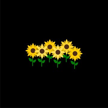Sun flower icon isolated on black background