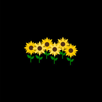 Sun flower icon isolated on black background
