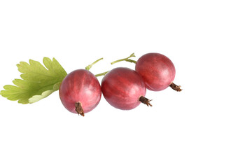 Ripe gooseberry with green leaf.