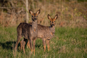 Mother and kid