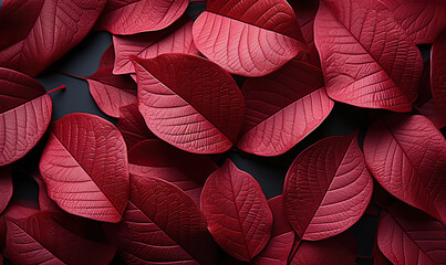 Autumn background from colorful red leaves close up.