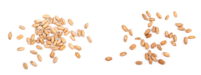 wheat grains isolated on white background. Top view - obrazy, fototapety, plakaty