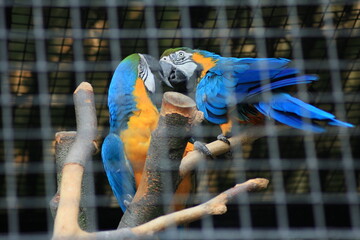 Kraków Zoo Zwierzyniec © Michał