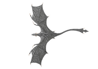 dragon is flying on top view