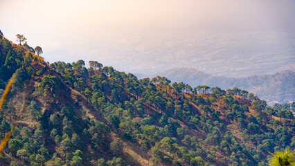 The landscape of Kasauli Himachal Pradesh