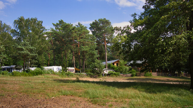 Campingplatz am Gorinsee mit Wohnwagen und Ferienh&auml;usern unter Kiefern an einer Waldwiese, Wandlitz, Landkreis Barnim, Brandenburg, Deutschland