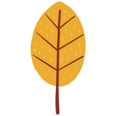 colorful leaves autumn in transparent background