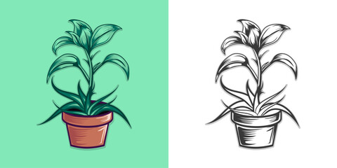 Green plant for gardening vector illustration