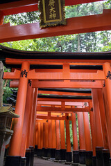 Fushimi Inari Taisha, a Shinto Shrine in Kyoto, Japan