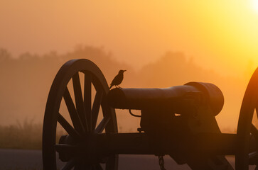 Ein Vogel auf einer Kanone im National Military Park in Gettysburg bei Sonnenaufgang - obrazy, fototapety, plakaty