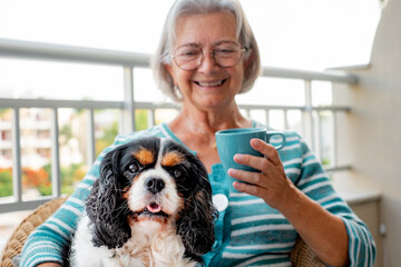 Defocused senior woman sitting on the home balcony holding her cavalier king charles dog on the legs enjoying a moment of relax,  focus on dog's face