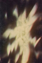Vintage Photography Backgrounds Anti Design Background High Resolution JPGs