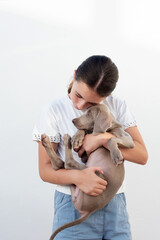 Girl holding her Weimaraner puppy. Unconditional love for dogs. Pet care.
