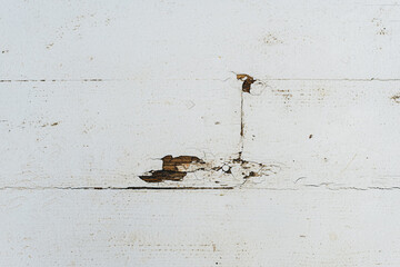 Peeling paint on a white plank floor. Background, texture.