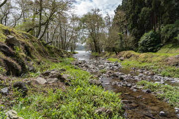River in nature with green.