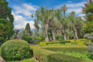 typical southern italian vegetation, olive, oleander, capsicum, fig, aloe, gum tree, dragon tree, and so many others, taormina, sicily