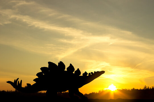 Silhouette of dinosaur against the sunset