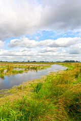 Kropswolderbuitenpolder, Groningen (Nederland / Netherlands)