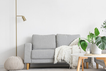 Interior of light living room with cozy grey sofa, houseplant on coffee table and pouf