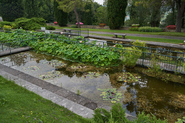  Valeggio sul Mincio, Italy - July 1, 2023 - the Parco Giardino Sigurta - Water Gardens - Veneto region - Italy landmarks 