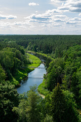 Fototapeta na wymiar river in the forest from above