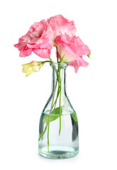 Glass vase with beautiful pink eustoma flowers on white background