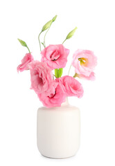Vase with beautiful pink eustoma flowers on white background